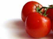 Tomate