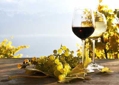 Wie gesund ist Wein?