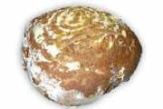 Krustenbrot
