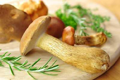 Steinpilz