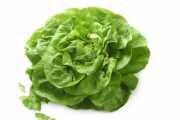 Grüner Salat