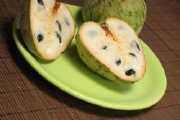 Cherimoya