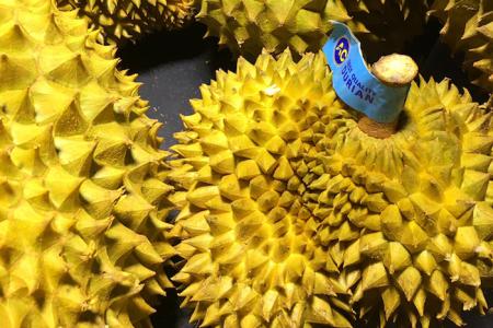 Durian