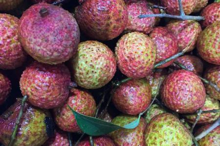 Lychee / Litschi