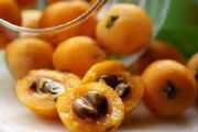 Loquat
