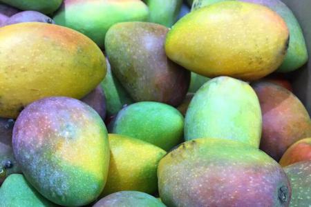 Mangos