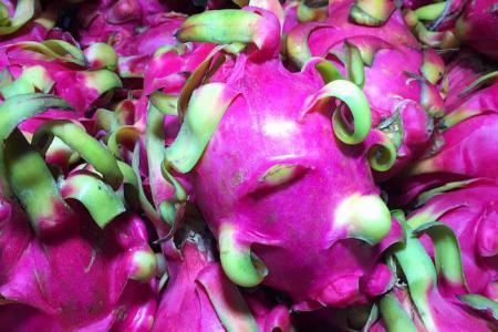 Pitahaya / Drachenfrucht