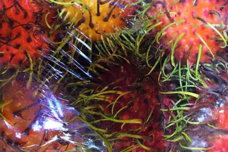 Rambutan