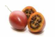 Tamarillo