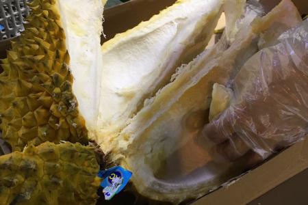 Die Durian geöffnet