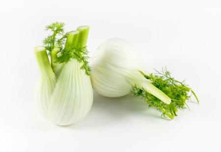 Fenchel