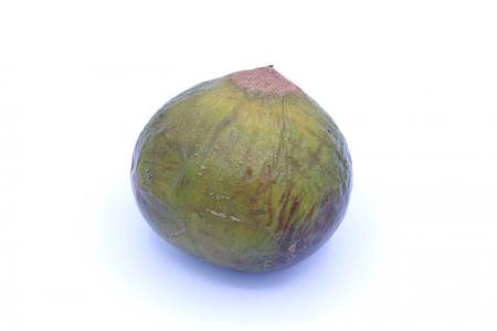 Sapote