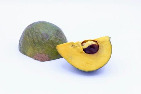 Sapote